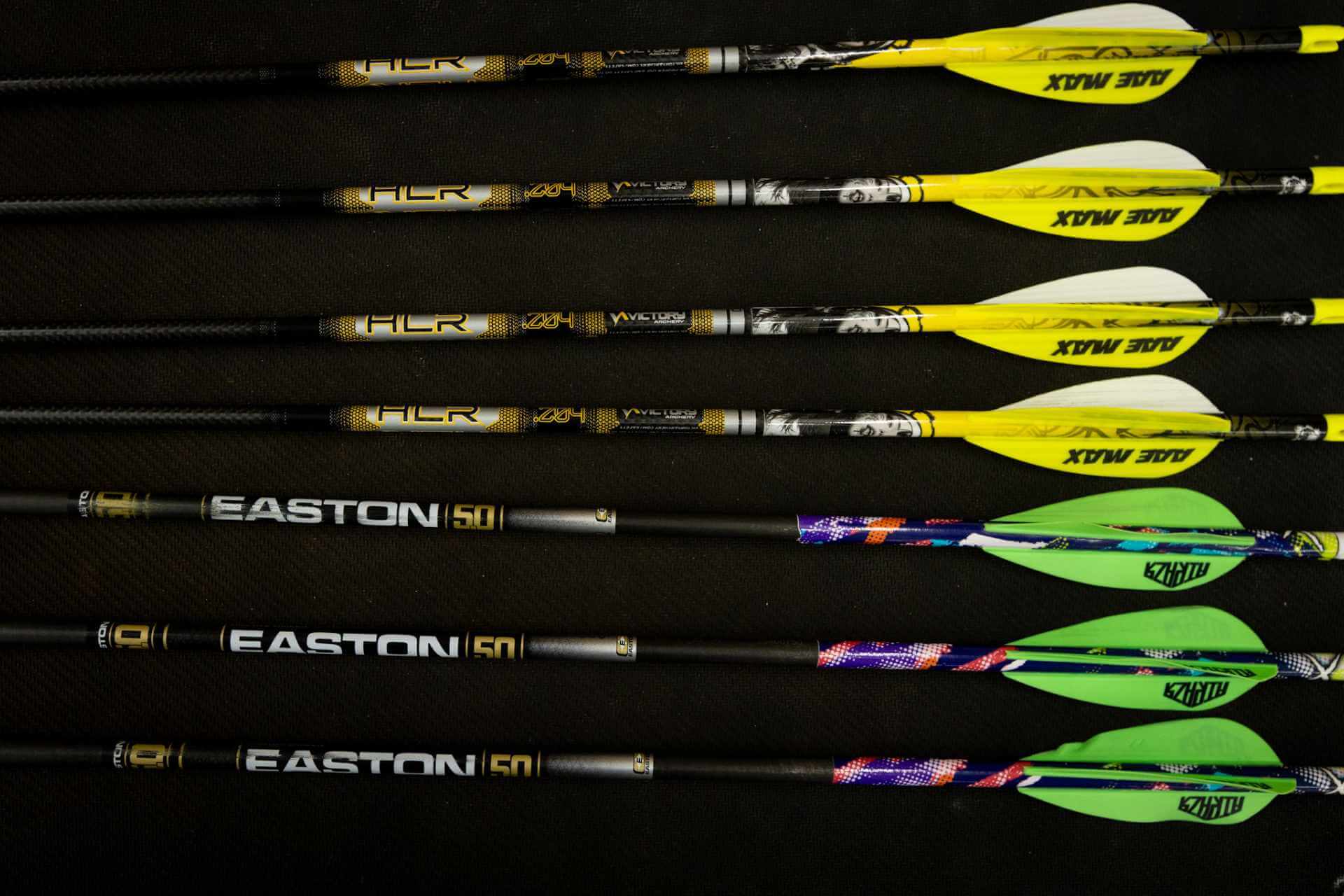 Easton 5.0 vs Victory HLR: Which 5mm Arrow Should You Shoot?