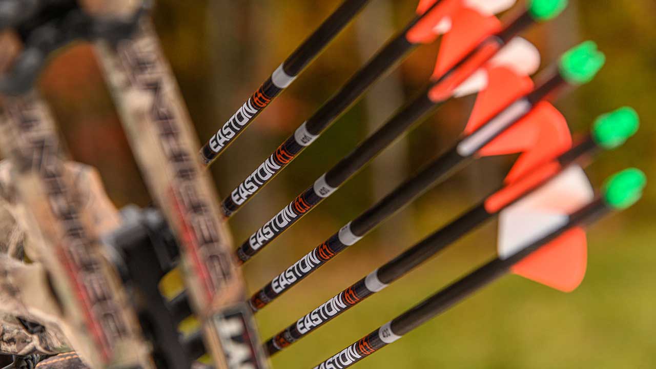 Archery Arrows 101: Best Guide for Beginners