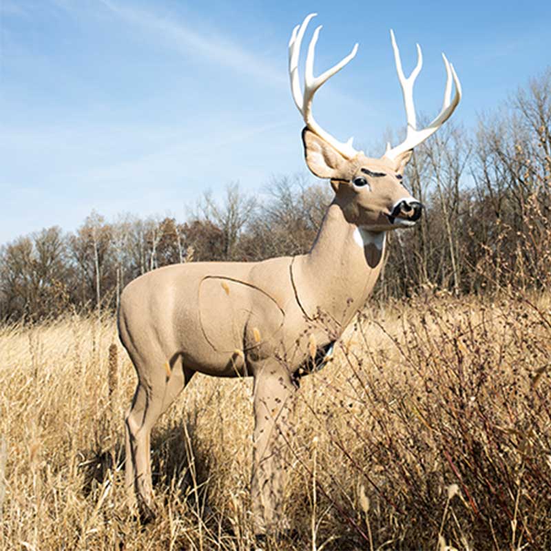 Rinehart Woodland Mule Deer Archery Target in field