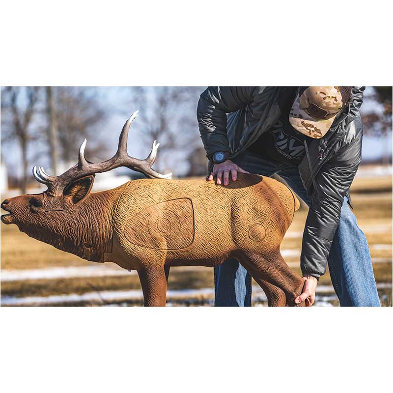 Woodland Elk 3D Archery Target man setting up target