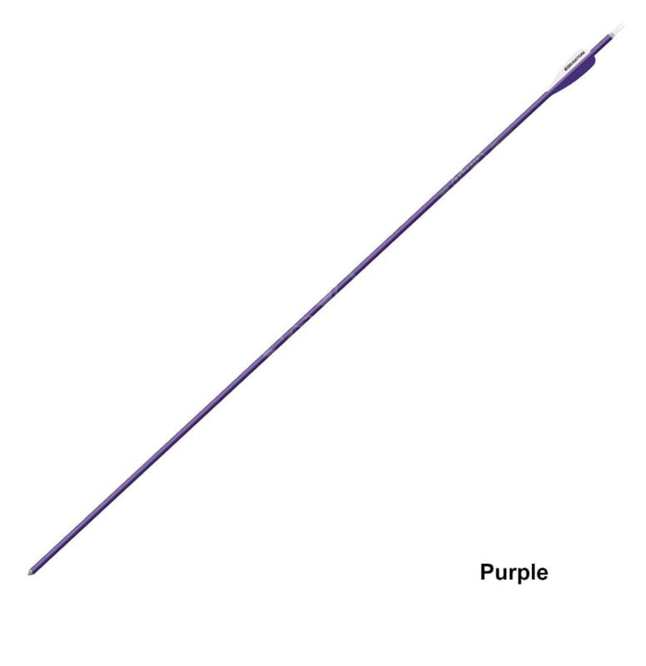 Easton XX75 Genesis Arrow Purple