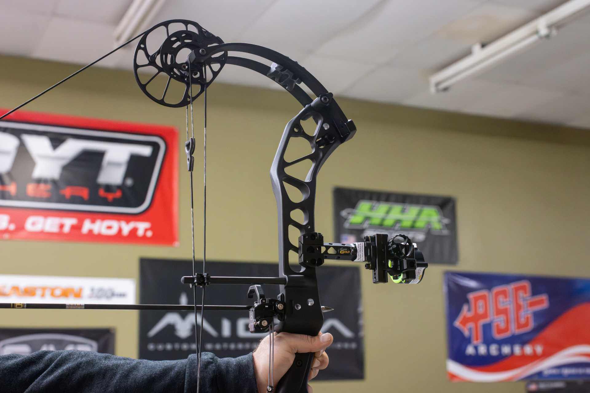 Best Bow Sight for Beginners