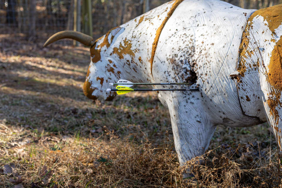 Easton Axis 5mm vs FMJ Max