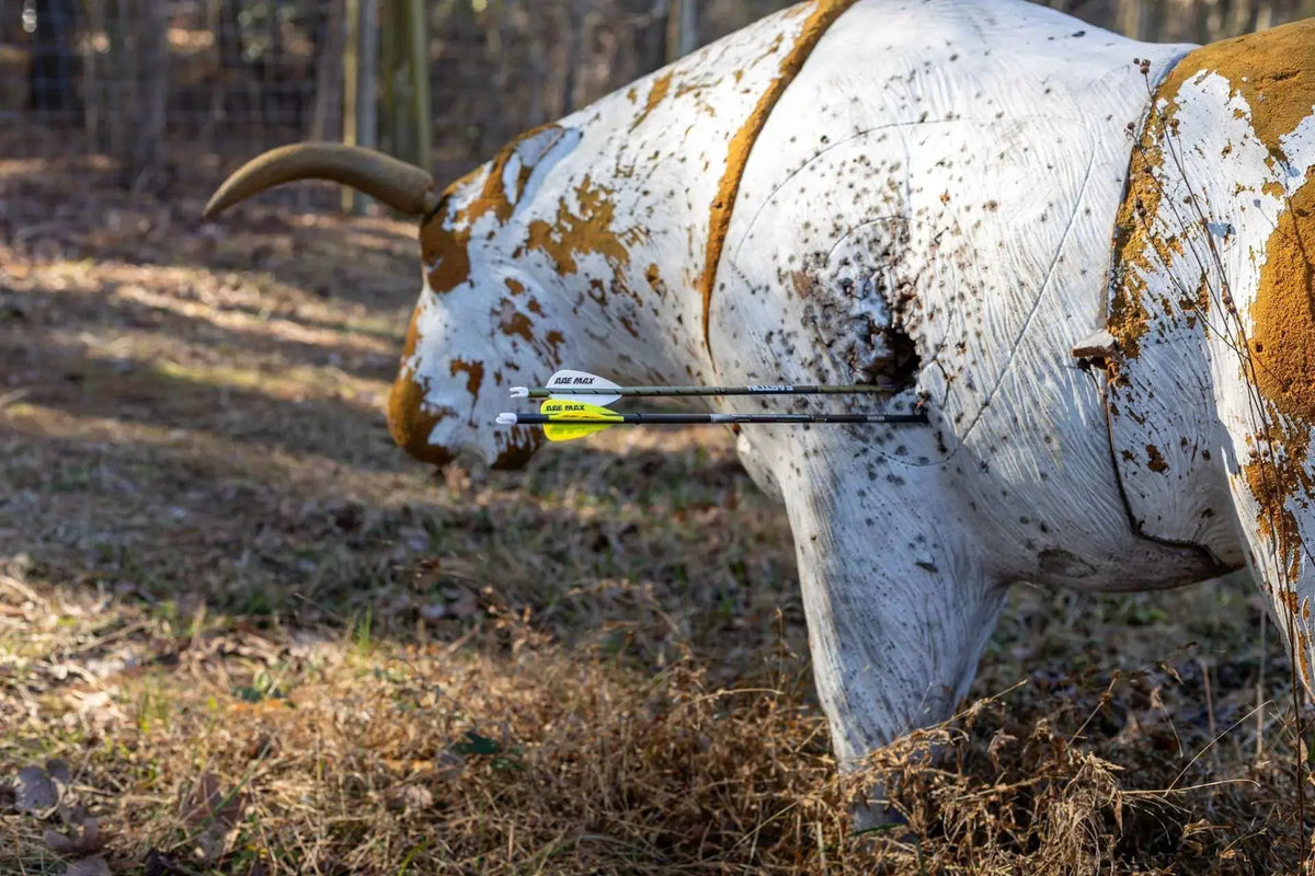 Easton Axis 5mm vs FMJ Max: Which Hunting Arrow Should You Choose?