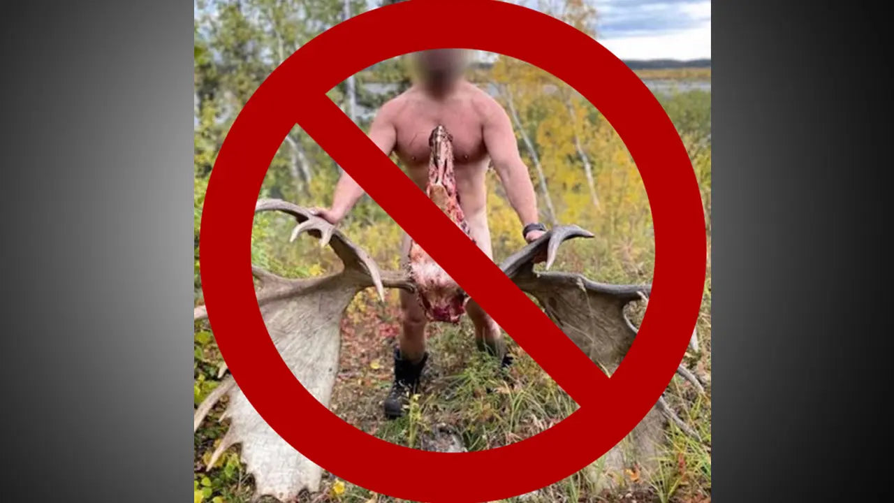 [Practical Guide] Hunting Etiquette on capturing your game