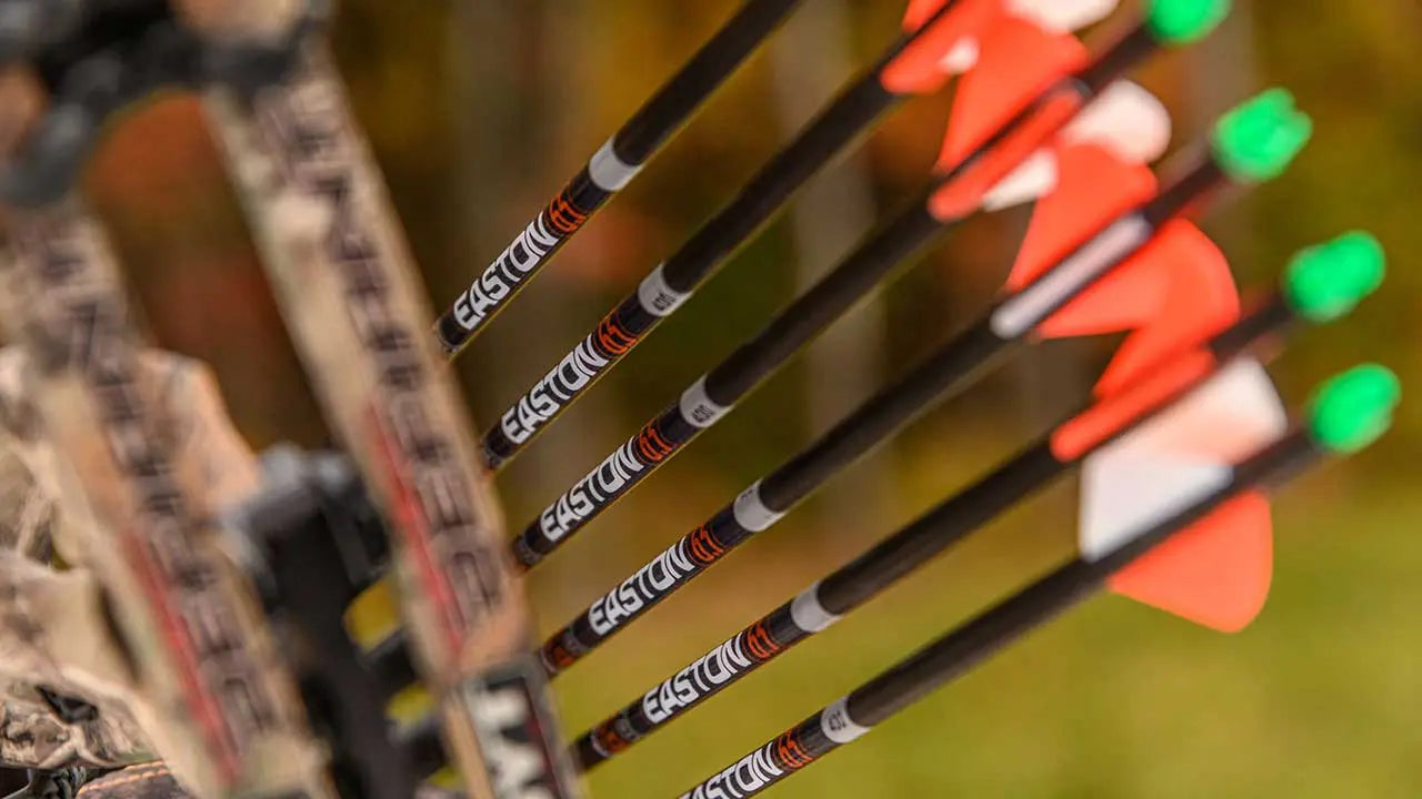 Archery Arrows 101: Best Guide for Beginners