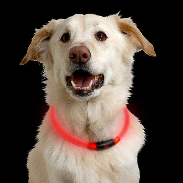 NITEHOWL® LED Safety Necklace - Red - Extreme Outfitters
