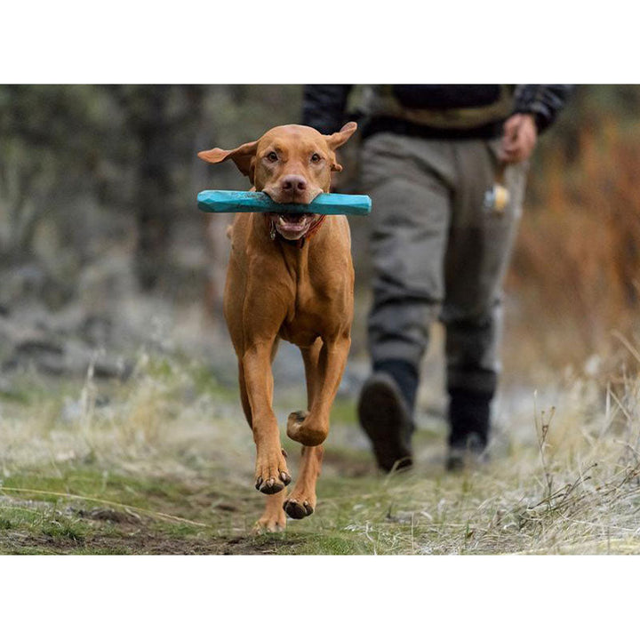 Gnawt-a-Stick Dog Toy Ruff Wear