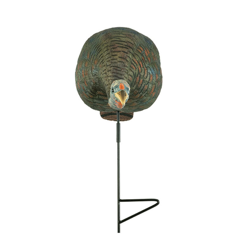 The Grind Bugging Hen Turkey Decoy - Extreme Outfitters