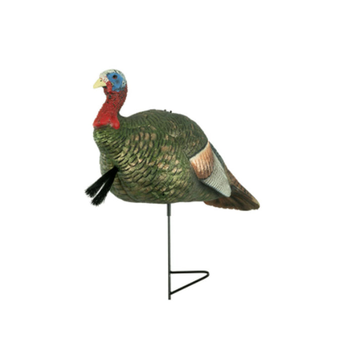 The Grind Half Strut Jake Turkey Decoy - Extreme Outfitters