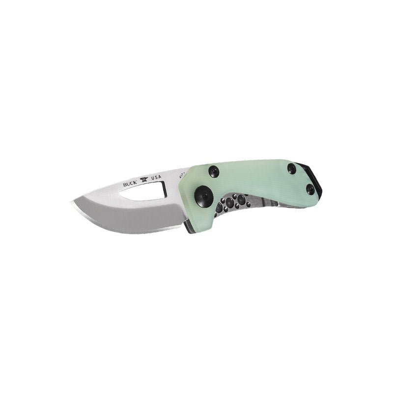 Buck Knives 417 Budgie Assisted - Extreme Outfitters