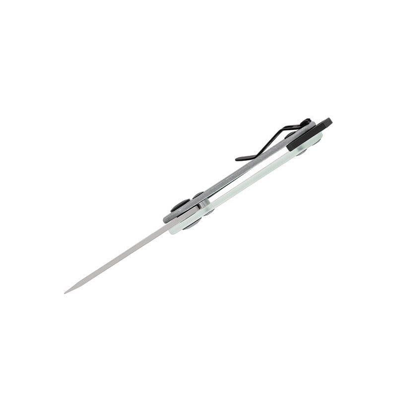 Buck Knives 417 Budgie Assisted - Extreme Outfitters