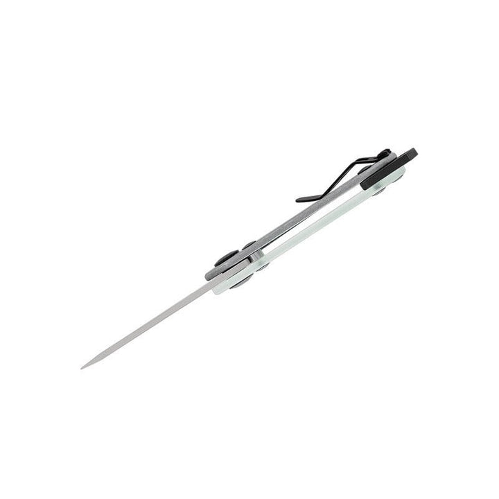 Buck Knives 417 Budgie Assisted - Extreme Outfitters