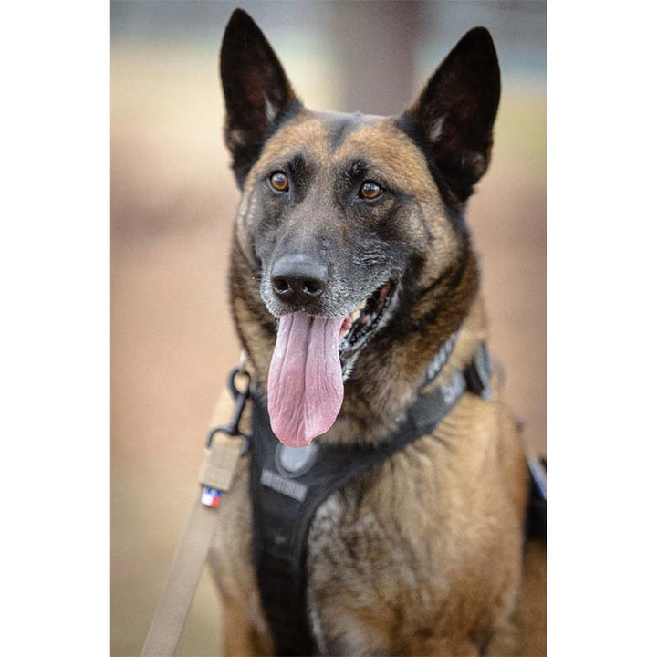 High Speed Gear Bonita 15 Tracking Lead - Extreme Outfitters