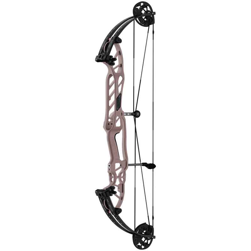 Hoyt Stratos 36 HBT Champagne Target Bow