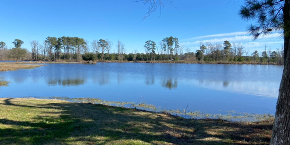 Extreme 3D Archery Series