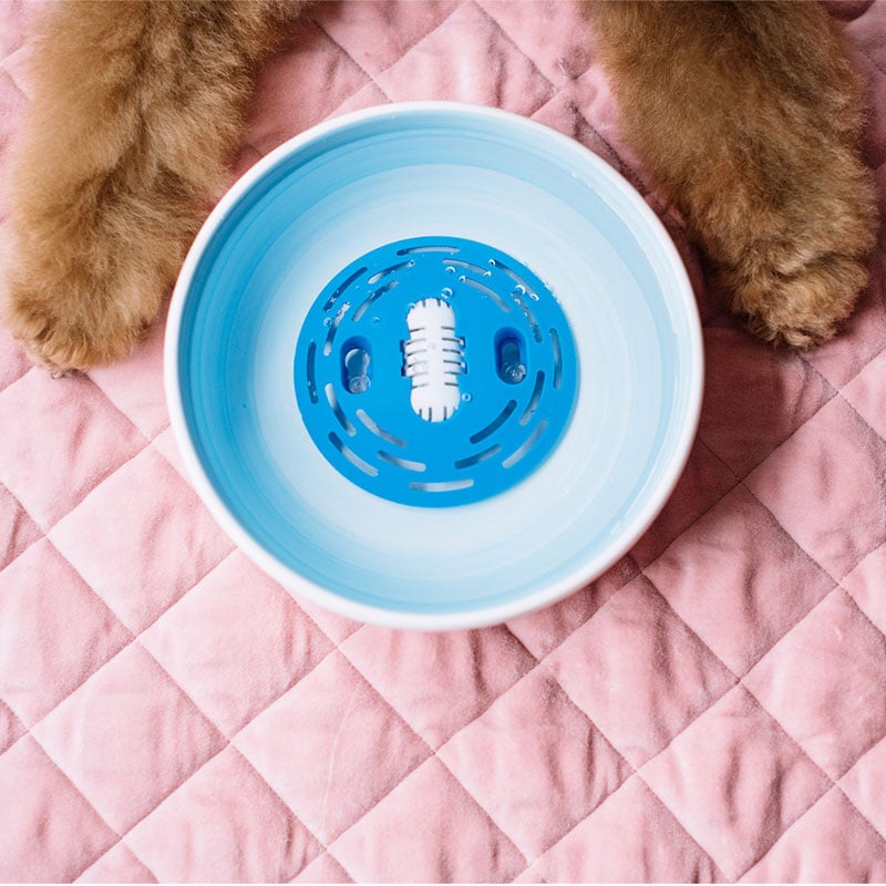 GoPure Pet Pod Water Purifier GoPure
