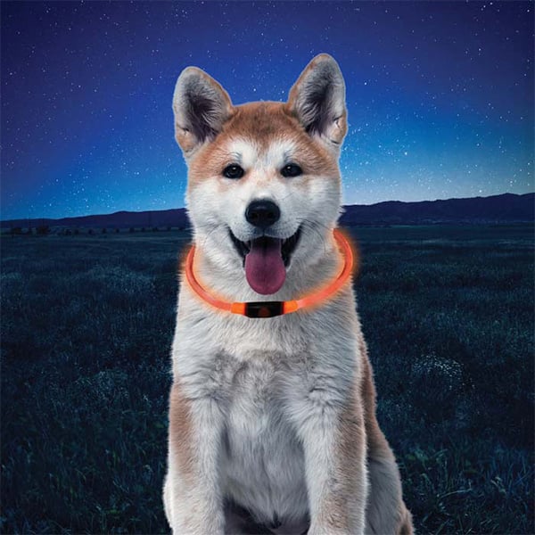 NITEHOWL® LED Safety Necklace -Orange - Extreme Outfitters