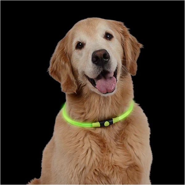 NITEHOWL® LED Safety Necklace - Green - Extreme Outfitters