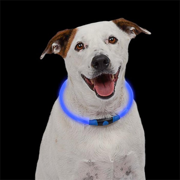 NITEHOWL® LED Safety Necklace - Blue - Extreme Outfitters