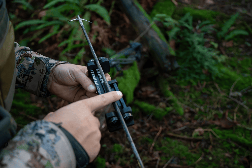 SpinEX modarchery