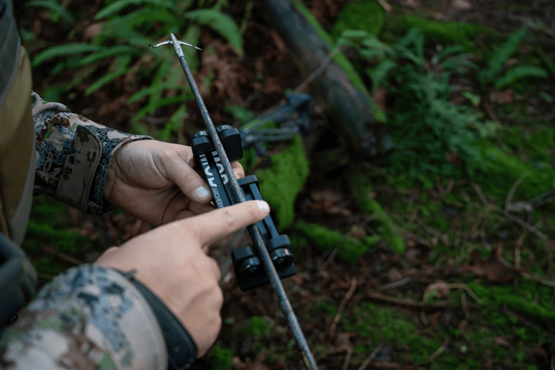SpinEX modarchery