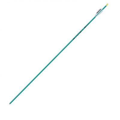 Easton XX75 Genesis Arrow Teal