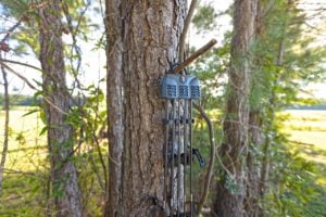 tightspot shift lock quiver hanging on tree