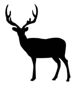 Deer Hunting Calendar